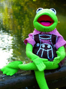 kermit in clothes